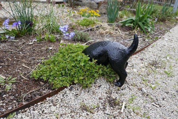 Keramik Hund buddelnd zum Stellen schwarz